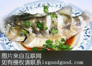 生焖茅岭鲈鱼特产照片