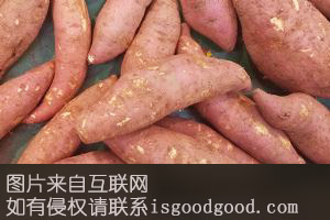 红薯-花生窑特产照片
