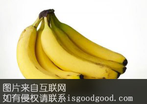 万顷沙香蕉特产照片