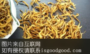 黄坑狗颈“白毛茶”特产照片