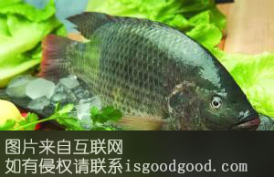油塘罗非鱼特产照片