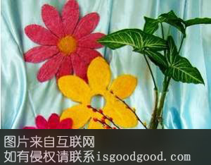 畲江工艺品特产照片