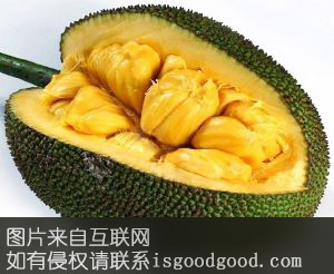 阳东菠萝蜜特产照片