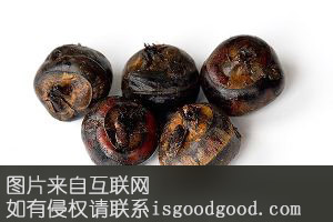 海陵珍珠马蹄特产照片