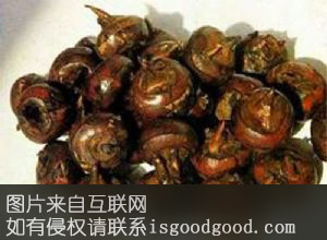 龙口荸荠特产照片