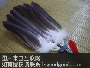孔明扇特产照片