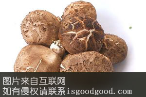 栗树湾香菇特产照片