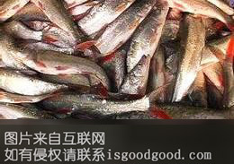 梁子湖红尾鱼特产照片
