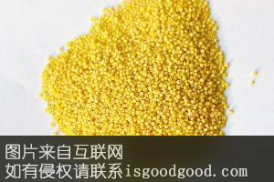 特级金小米特产照片