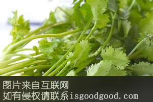 商城天香菜特产照片