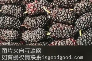 高青桑葚特产照片