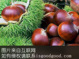 乳山板栗特产照片
