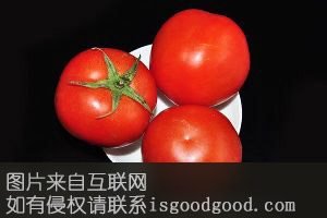城前越夏西红柿特产照片