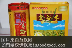 金谷小米特产照片