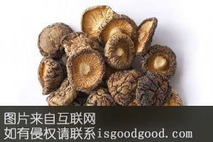 西张庄食用菌特产照片