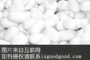 泰安蚕茧特产照片