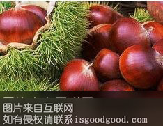 下村板栗特产照片
