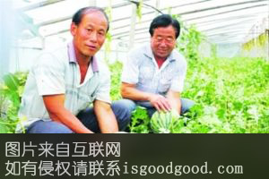 北侯西瓜特产照片