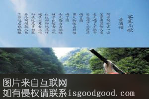 桥头腊八酒特产照片