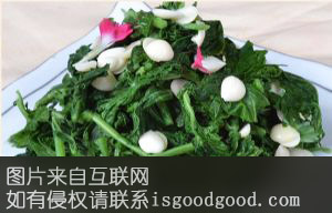 清炒苦菜特产照片