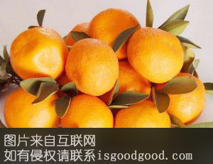 金溪蜜桔特产照片
