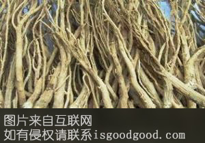 淮南柴胡特产照片
