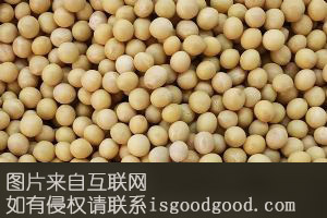 汀洲大豆特产照片