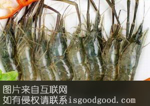 凤尾敲虾特产照片