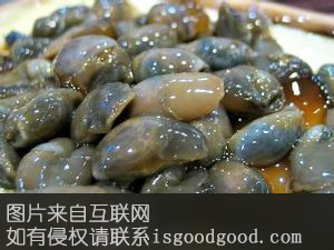 马目泥螺特产照片