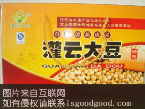 灌云大豆特产照片