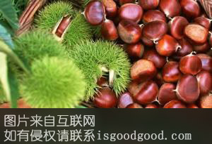 水冲港板栗特产照片