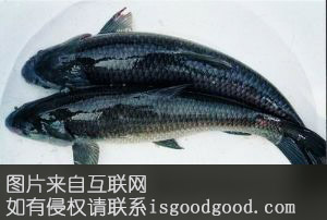 溱湖四喜特产照片