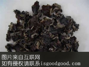 延寿木耳特产照片