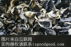 通化黑木耳特产照片