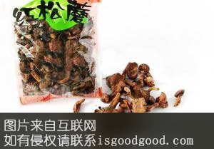 野生红松蘑特产照片