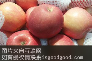 前所苹果特产照片