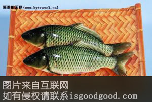 托县鲤鱼特产照片