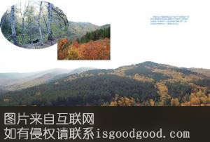蛮汉山山珍特产照片