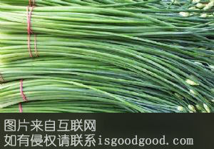 锡林浩特韭菜花特产照片
