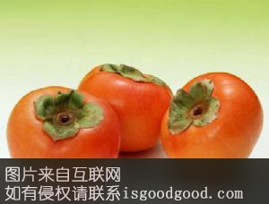 晋城小红柿特产照片