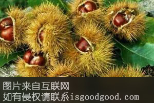 吉县板栗特产照片