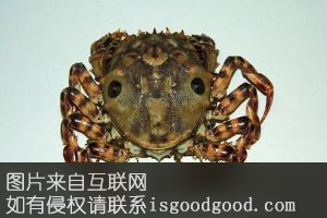 滦南海蟹特产照片