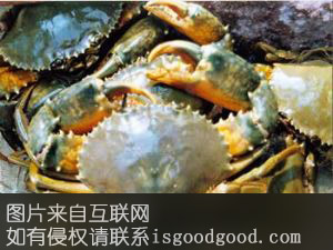大海蟹特产照片