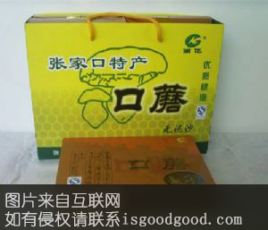 张家口口蘑特产照片