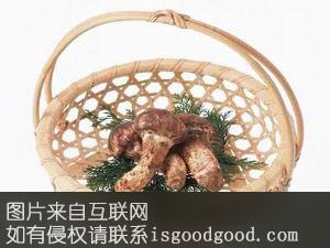 赤城松蘑特产照片