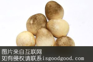 崇礼蘑菇特产照片