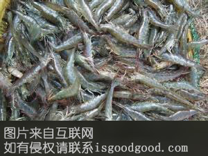 慈溪南美白对虾特产照片