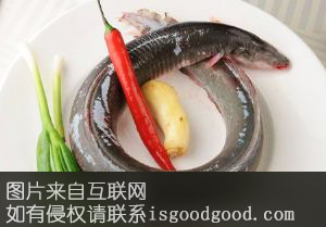 绍兴河鳗特产照片
