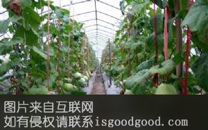 湖芳瓜果特产照片