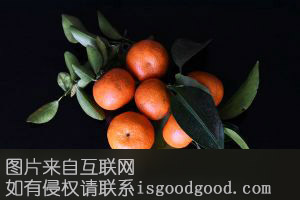 长泰蜜桔特产照片